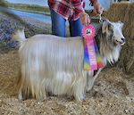  Randolph's Rockaby Baby 